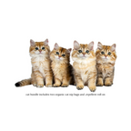 sPaw Cat Bundle 3 piece
