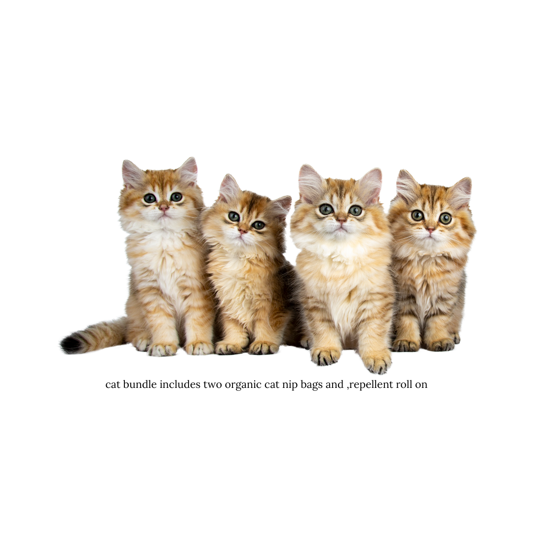 sPaw Cat Bundle 3 piece