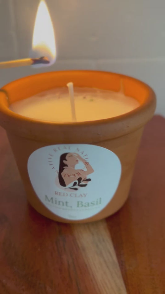 Mint Basil | Coconut Apricot Wax Candle