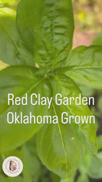 Red Clay Garden Spice Set + Spice Rack